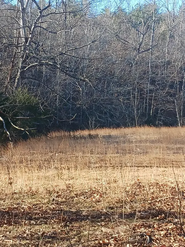 Sandy Level, VA 24161,0 Graves Bridge Rd
