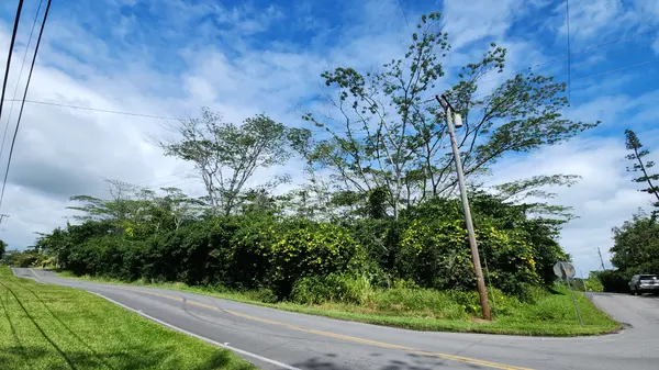 Keaau, HI 96749,15-1746 9TH AVE