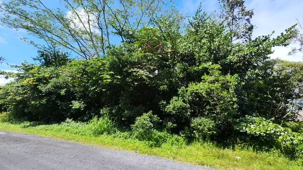 Keaau, HI 96749,15-1746 9TH AVE