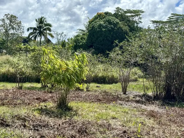 15-1429 16TH AVE, Keaau, HI 96749