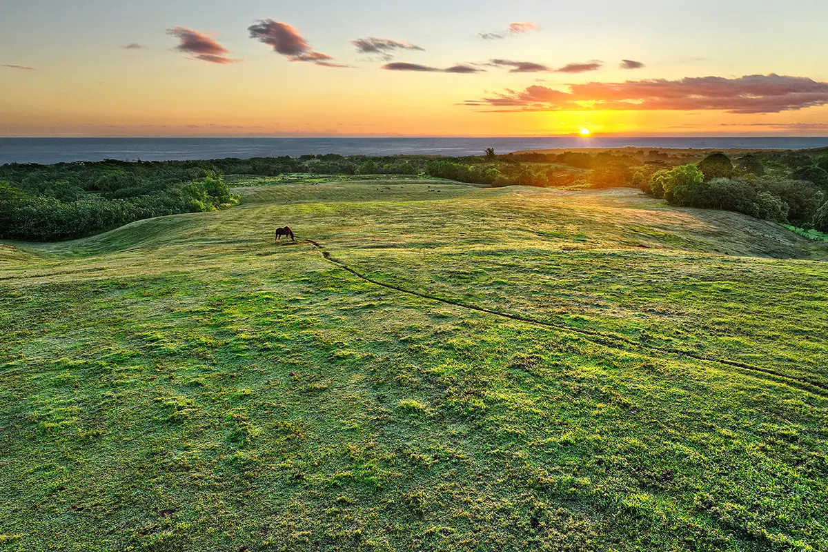KAPUNA RD, Kilauea, HI 96722