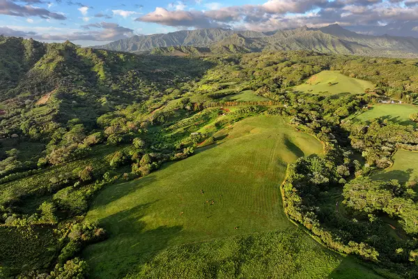 KAPUNA RD, Kilauea, HI 96722