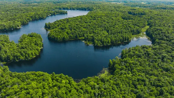 0 Windermere RD, Muskoka Lakes, ON P0B 1M0