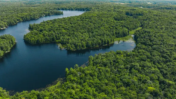 0 Windermere RD, Muskoka Lakes, ON P0B 1M0