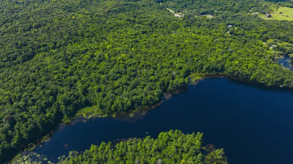 0 Windermere RD, Muskoka Lakes, ON P0B 1M0