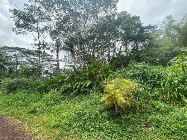 Kurtistown, HI 96760,PARADISE CT