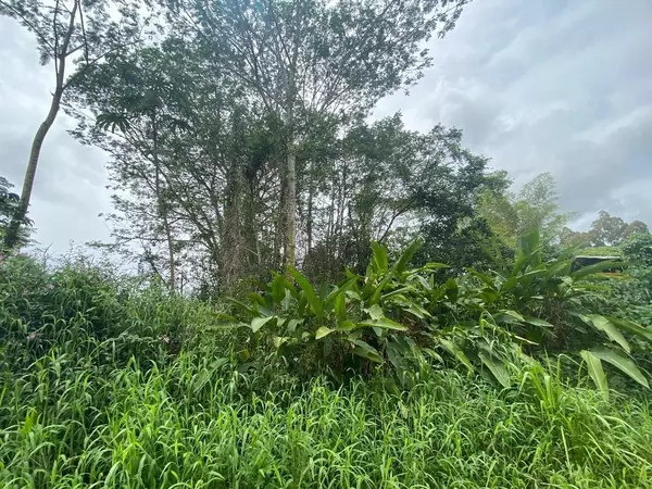 Kurtistown, HI 96760,PARADISE CT