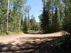 Lot #11 Wapiti River SW-21-69-10-W6, Rural Grande Prairie No. 1 County Of, AB T0H 1J0