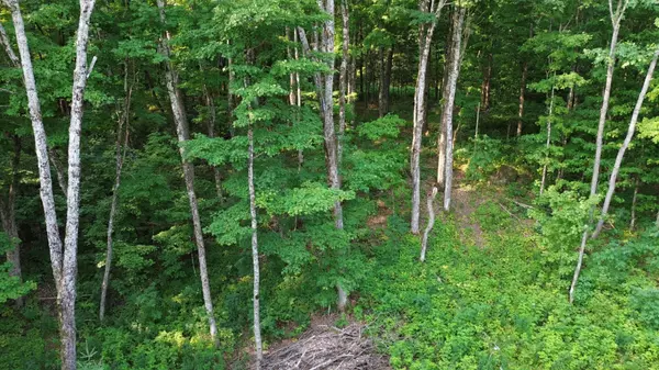 Dysart Et Al, ON K0M 1S0,1037 Loon Lake RD