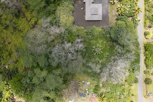 Keaau, HI 96749,5TH AVE