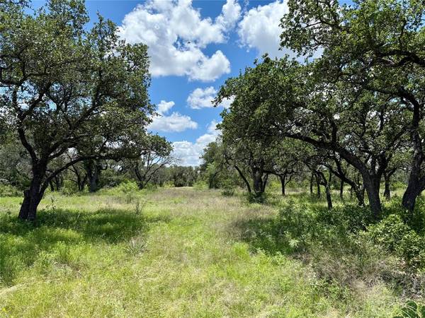 Gustine, TX 76455,Lot 39 Pecan Valley Drive