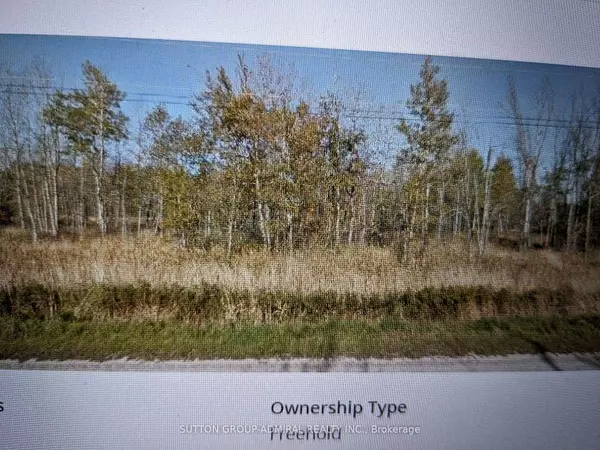 Grey Highlands, ON N0C 1E0,PT LT 170 Road 2 Concession