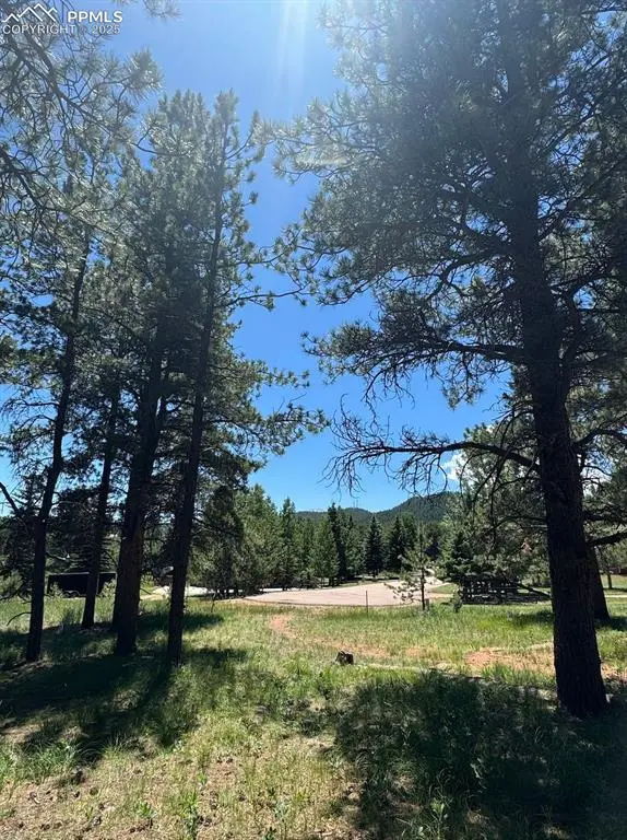 Woodland Park, CO 80863,1287 Firestone DR