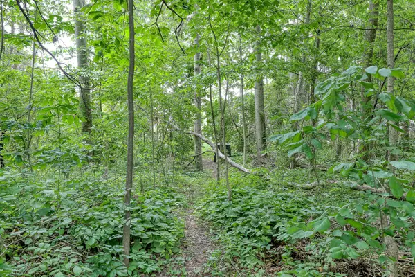 Tillsonburg, ON N4G 5T2,102 Wilson AVE