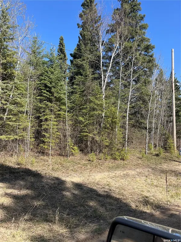 Big River Rm No. 555, SK S0J 0E0,6 Buckingham TRAIL