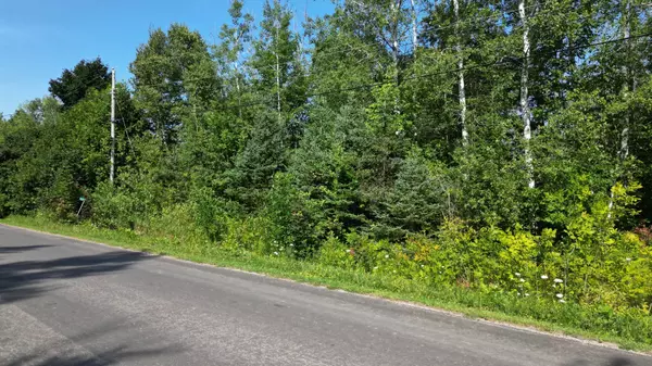 Northern Bruce Peninsula, ON N0H 1Z0,127 Maple DR