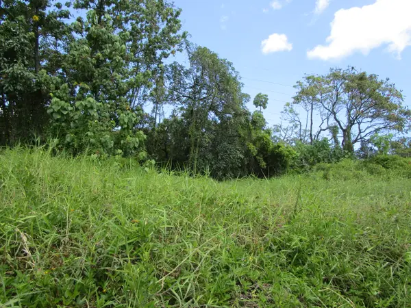 Hilo, HI 96720,KUPULAU RD