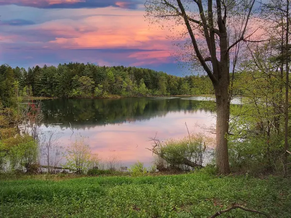 Richmond Hill, ON L4E 0B1,8 Macleod Estate CT