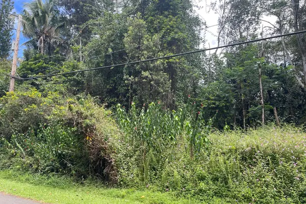 Pahoa, HI 96778,12-528 DIAMOND HEAD DR