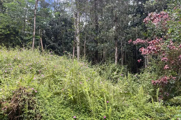 Pahoa, HI 96778,12-528 DIAMOND HEAD DR