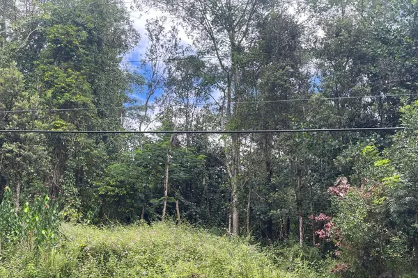 Pahoa, HI 96778,12-528 DIAMOND HEAD DR