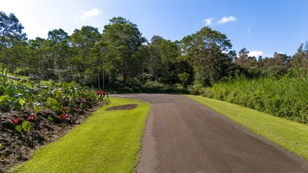 75-1305 KEOPU MAUKA DR, Holualoa, HI 96725