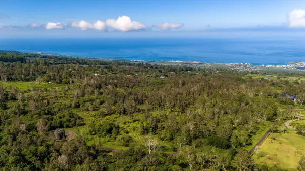 75-1305 KEOPU MAUKA DR, Holualoa, HI 96725