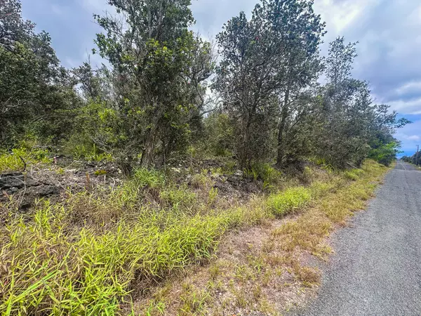 Ocean View, HI 96737,92-9130 TREE FERN LN