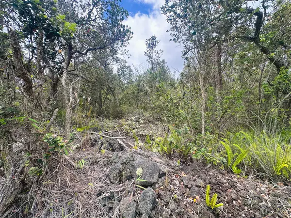 Ocean View, HI 96737,92-9130 TREE FERN LN