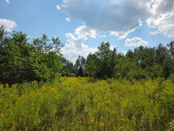 Minden Hills, ON K0M 2K0,0 Geeza RD