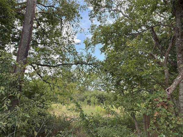 Wolfe City, TX 75496,0000 Hanna Street