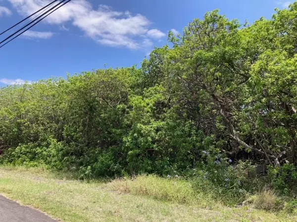 Naalehu, HI 96772,94-5770 HUNE KAI ST