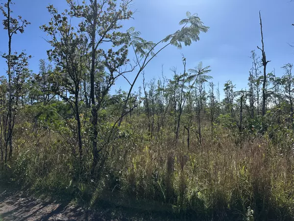 Keaau, HI 96749,SANDALWOOD CT