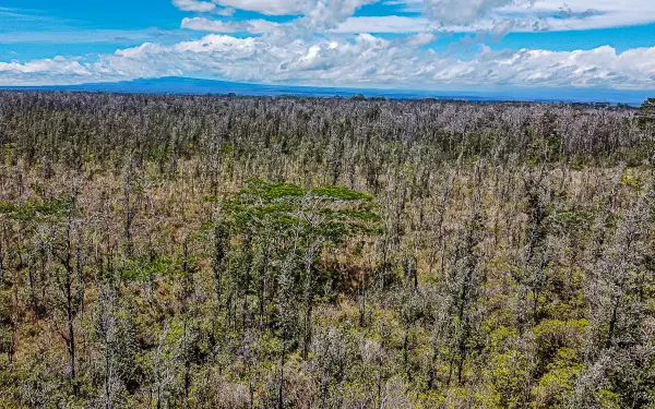 Keaau, HI 96749,SANDALWOOD CT