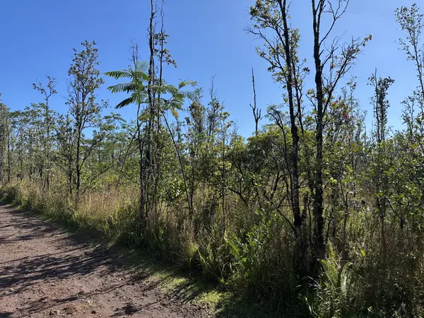 Keaau, HI 96749,SANDALWOOD CT