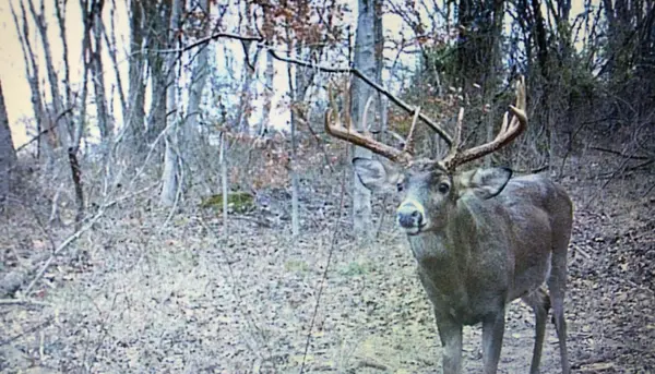 Portland, OH 45770,Wells Run Rd