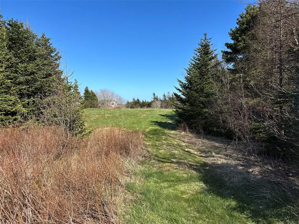 Flatrock, NL A1K 1E1,45-51 Back Road