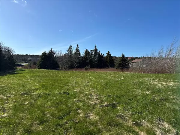 Flatrock, NL A1K 1E1,45-51 Back Road