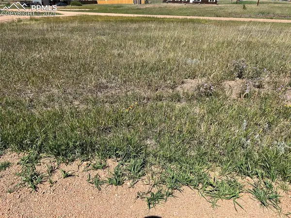 Divide, CO 80814,TBD Golden Grain LN