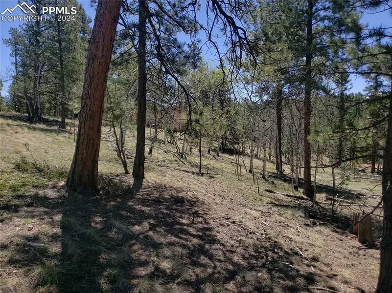 69 Lake CIR, Divide, CO 80814