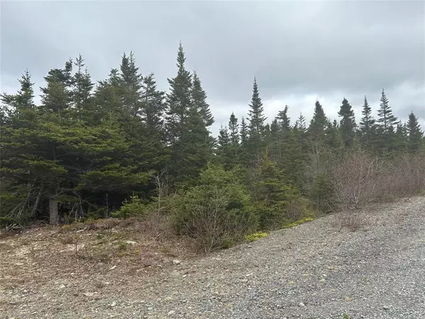 Lot # 02 Quarry Road, Burgoynes Cove, NL A0C 1G0