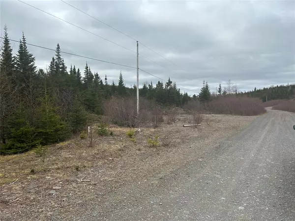 Lot # 03 Quarry Road, Burgoynes Cove, NL A0C 1G0
