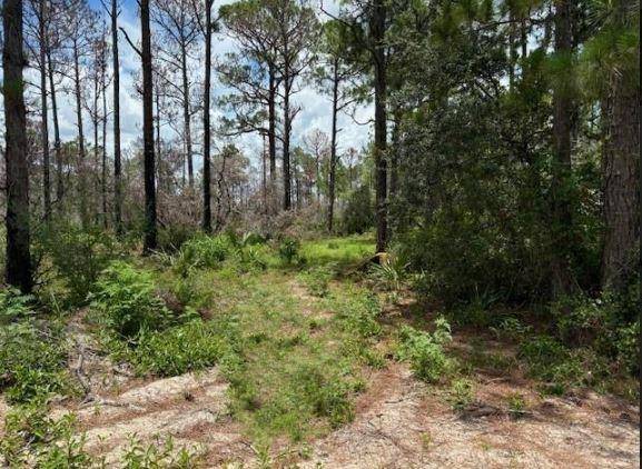 328 Claverton Dr, Lake Placid, FL 33852