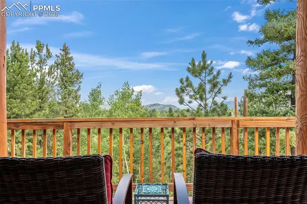 Woodland Park, CO 80863,454 Wakanda TRL