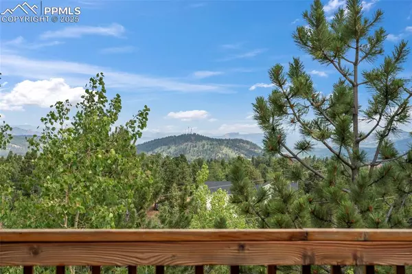 Woodland Park, CO 80863,454 Wakanda TRL