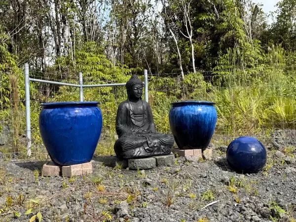 Mountain View, HI 96771,PALAINUI AVE