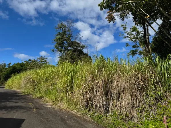 KAIWIKI RD, Hilo, HI 96720