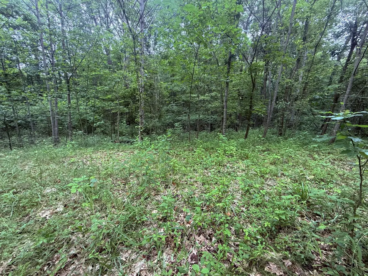 4103 S Rodehaver Rd, Guysville, OH 45735