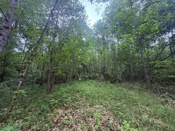 4103 S Rodehaver Rd, Guysville, OH 45735