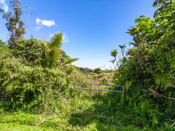 Pahoa, HI 96778,13-3557 KUPONO ST